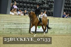 25BUCKEYE_07133 thumbnail