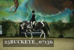 25BUCKEYE_07136 thumbnail