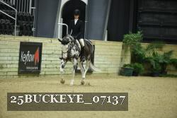 25BUCKEYE_07137 thumbnail