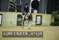 25BUCKEYE_07138 thumbnail