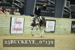 25BUCKEYE_07139 thumbnail