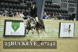 25BUCKEYE_07142 thumbnail