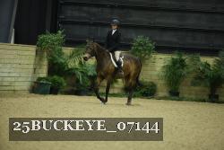 25BUCKEYE_07144 thumbnail