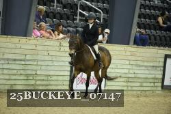 25BUCKEYE_07147 thumbnail