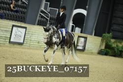 25BUCKEYE_07157 thumbnail