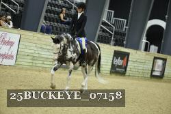 25BUCKEYE_07158 thumbnail