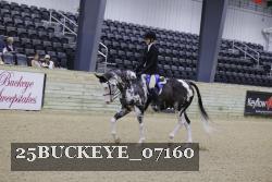 25BUCKEYE_07160 thumbnail