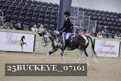 25BUCKEYE_07161 thumbnail