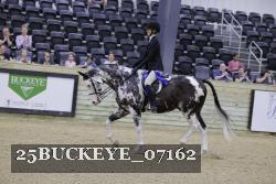 25BUCKEYE_07162 thumbnail