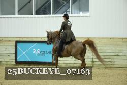 25BUCKEYE_07163 thumbnail