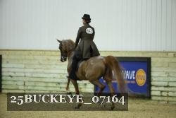 25BUCKEYE_07164 thumbnail
