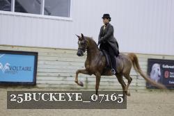 25BUCKEYE_07165 thumbnail