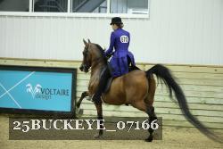 25BUCKEYE_07166 thumbnail