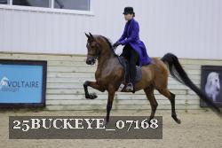 25BUCKEYE_07168 thumbnail