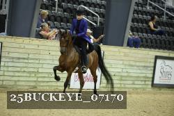 25BUCKEYE_07170 thumbnail