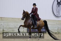 25BUCKEYE_07172 thumbnail