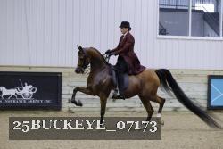 25BUCKEYE_07173 thumbnail