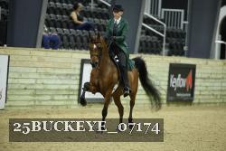 25BUCKEYE_07174 thumbnail