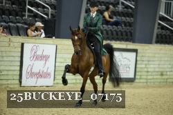 25BUCKEYE_07175 thumbnail