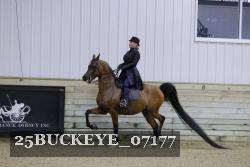 25BUCKEYE_07177 thumbnail