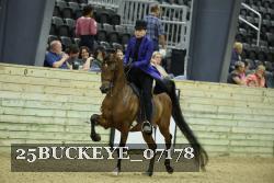 25BUCKEYE_07178 thumbnail