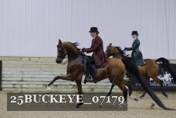 25BUCKEYE_07179 thumbnail