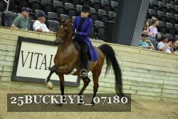 25BUCKEYE_07180 thumbnail