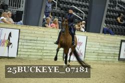 25BUCKEYE_07181 thumbnail