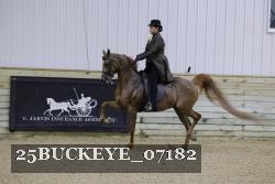25BUCKEYE_07182 thumbnail