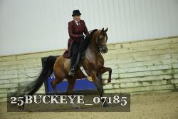 25BUCKEYE_07185 thumbnail