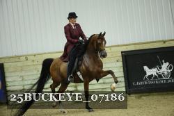 25BUCKEYE_07186 thumbnail