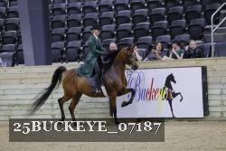 25BUCKEYE_07187 thumbnail