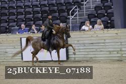 25BUCKEYE_07188 thumbnail
