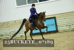 25BUCKEYE_07189 thumbnail
