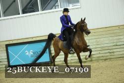 25BUCKEYE_07190 thumbnail