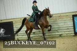 25BUCKEYE_07192 thumbnail