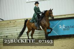 25BUCKEYE_07193 thumbnail