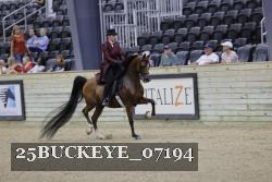 25BUCKEYE_07194 thumbnail