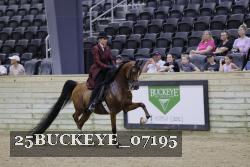 25BUCKEYE_07195 thumbnail