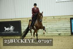 25BUCKEYE_07197 thumbnail