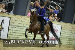 25BUCKEYE_07209 thumbnail