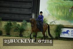25BUCKEYE_07214 thumbnail