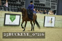 25BUCKEYE_07216 thumbnail