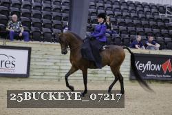 25BUCKEYE_07217 thumbnail