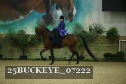 25BUCKEYE_07222 thumbnail