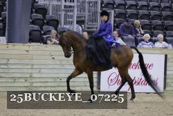 25BUCKEYE_07225 thumbnail