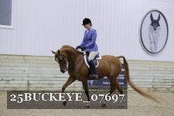 25BUCKEYE_07697 thumbnail