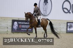 25BUCKEYE_07702 thumbnail