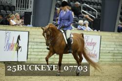 25BUCKEYE_07703 thumbnail
