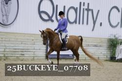 25BUCKEYE_07708 thumbnail